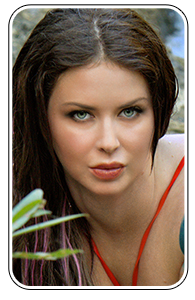 Emily Feature Model